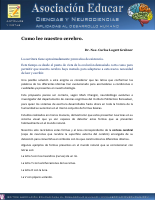 como lee nuestro cerebro.pdf